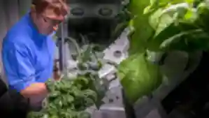 Growing Plants in Space