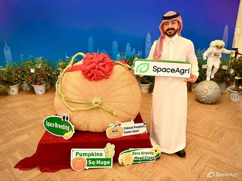 545 kg Space Pumpkin Auctioned for $41,000